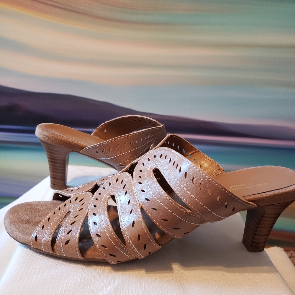 Tan Slides 13w